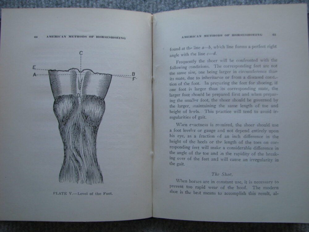 American Methods of Horseshoeing, F.G. Churchill - Image 7