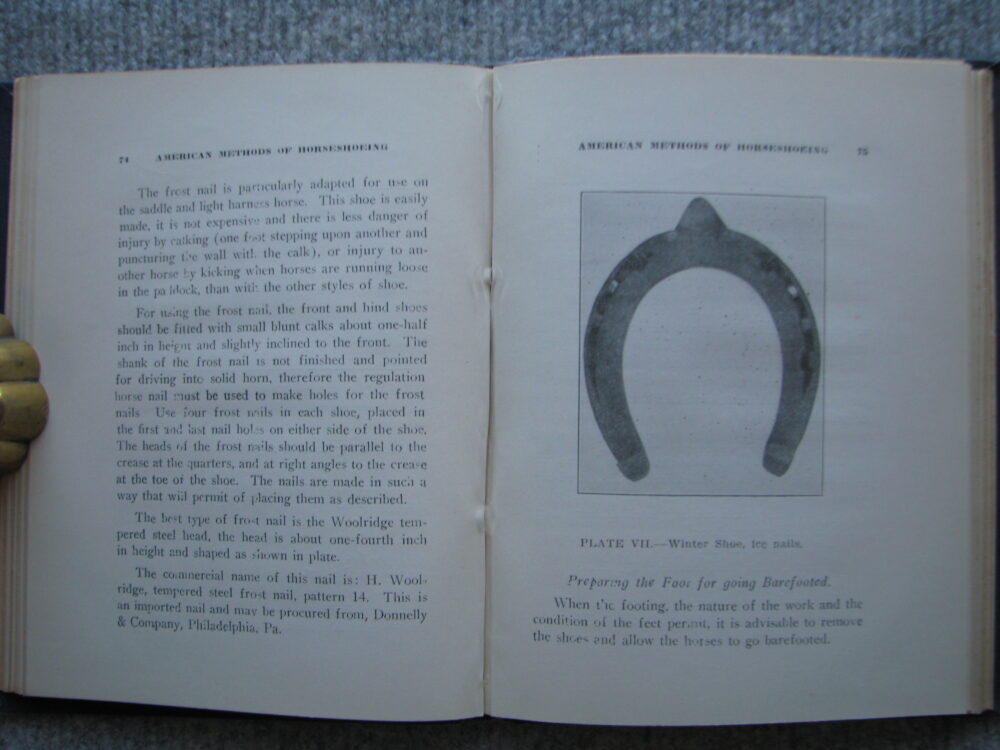 American Methods of Horseshoeing, F.G. Churchill - Image 8