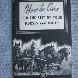 How to Care For The Feet of your Horses and Mules