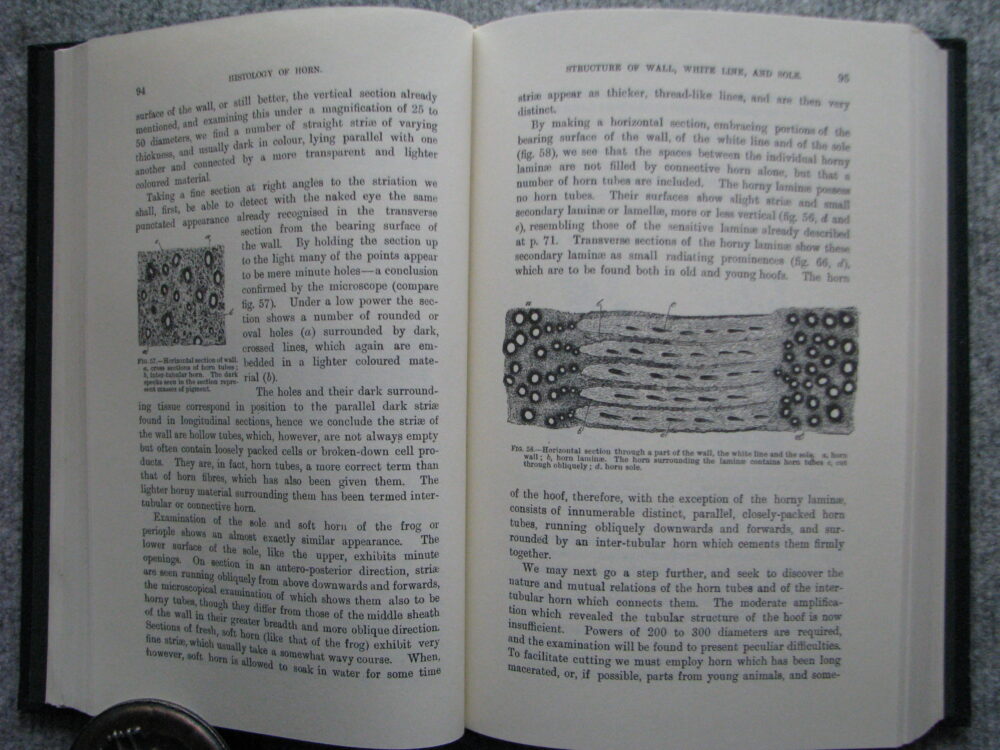 A Handbook of Horseshoeing, Dollar and Wheatley - Image 10