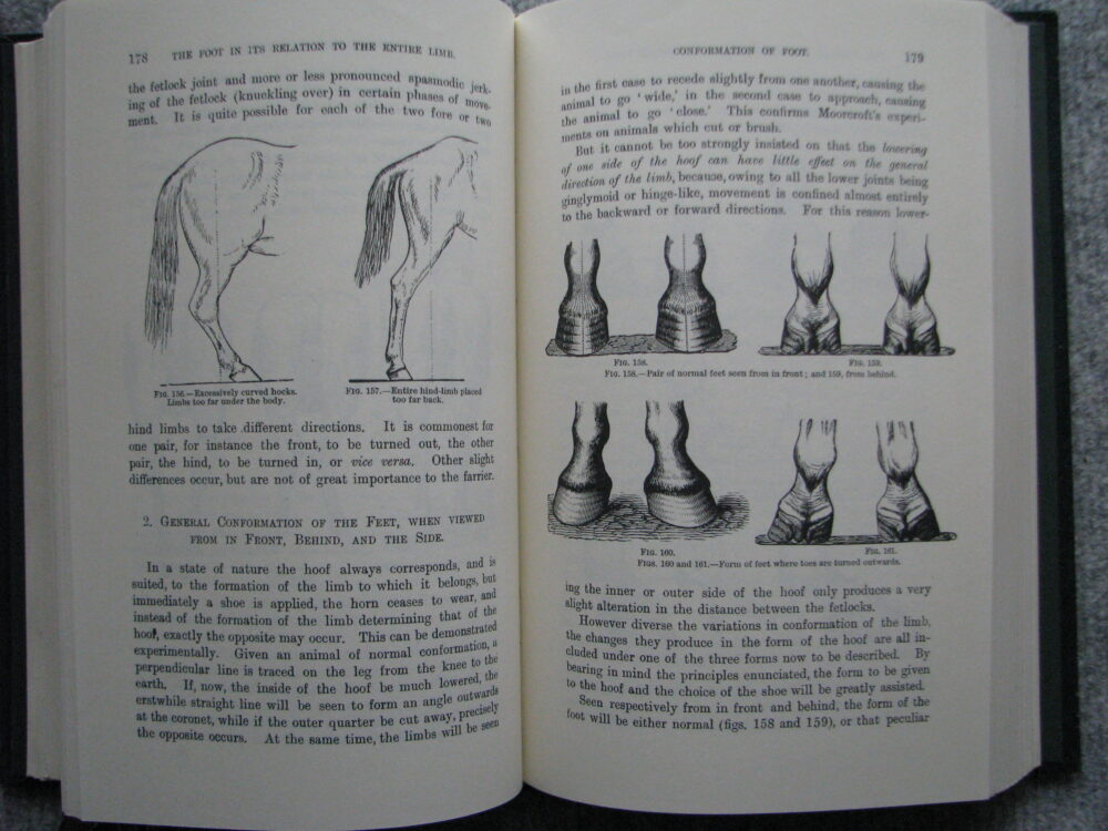 A Handbook of Horseshoeing, Dollar and Wheatley - Image 13