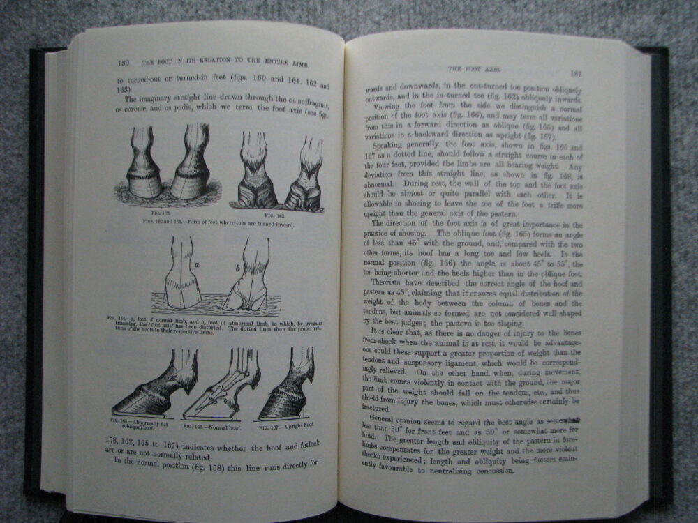 A Handbook of Horseshoeing, Dollar and Wheatley - Image 14