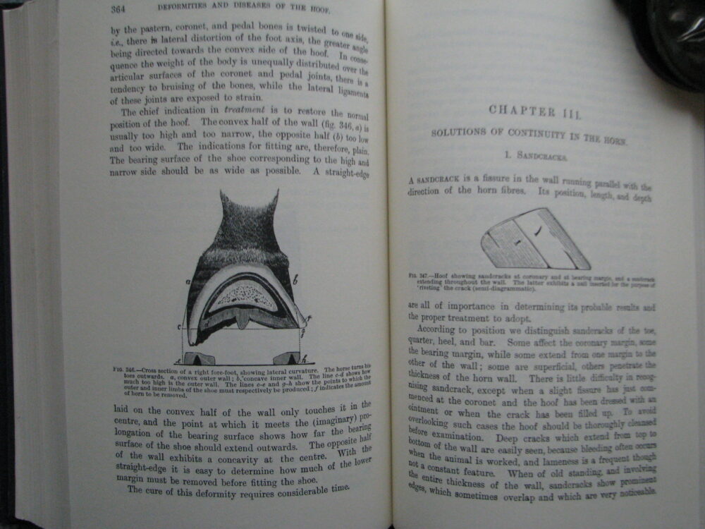 A Handbook of Horseshoeing, Dollar and Wheatley - Image 19