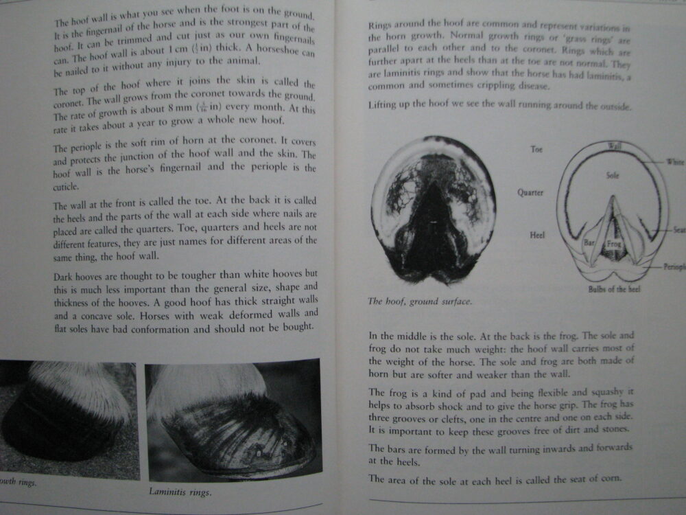 The Horse Shoeing Book. Martin Humphrey - Image 7