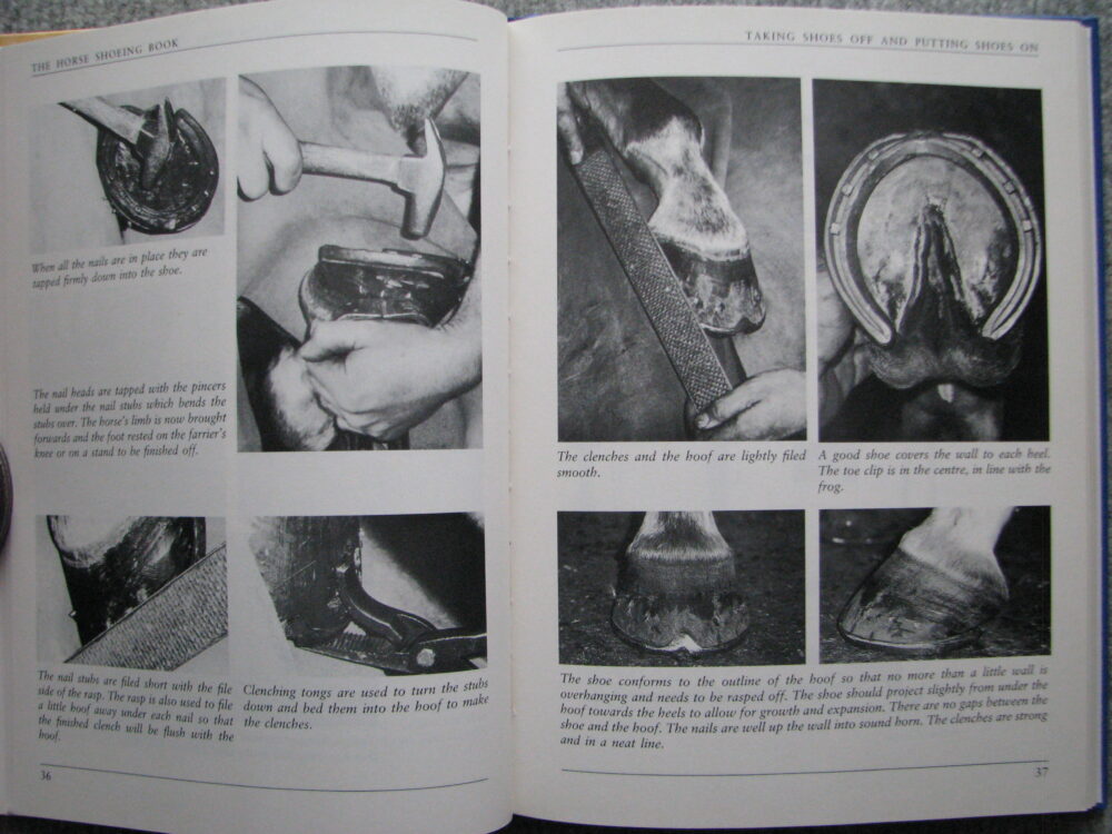 The Horse Shoeing Book. Martin Humphrey - Image 11