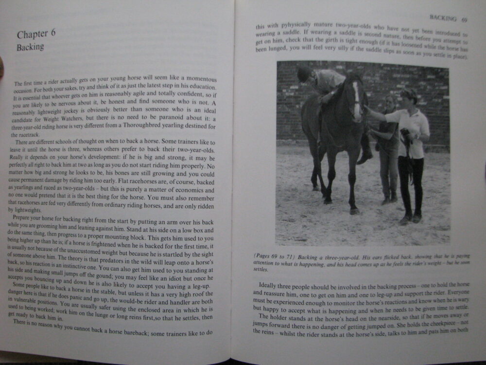 Breaking and Schooling, Carolyn Henderson and Lynn Russell - Image 7