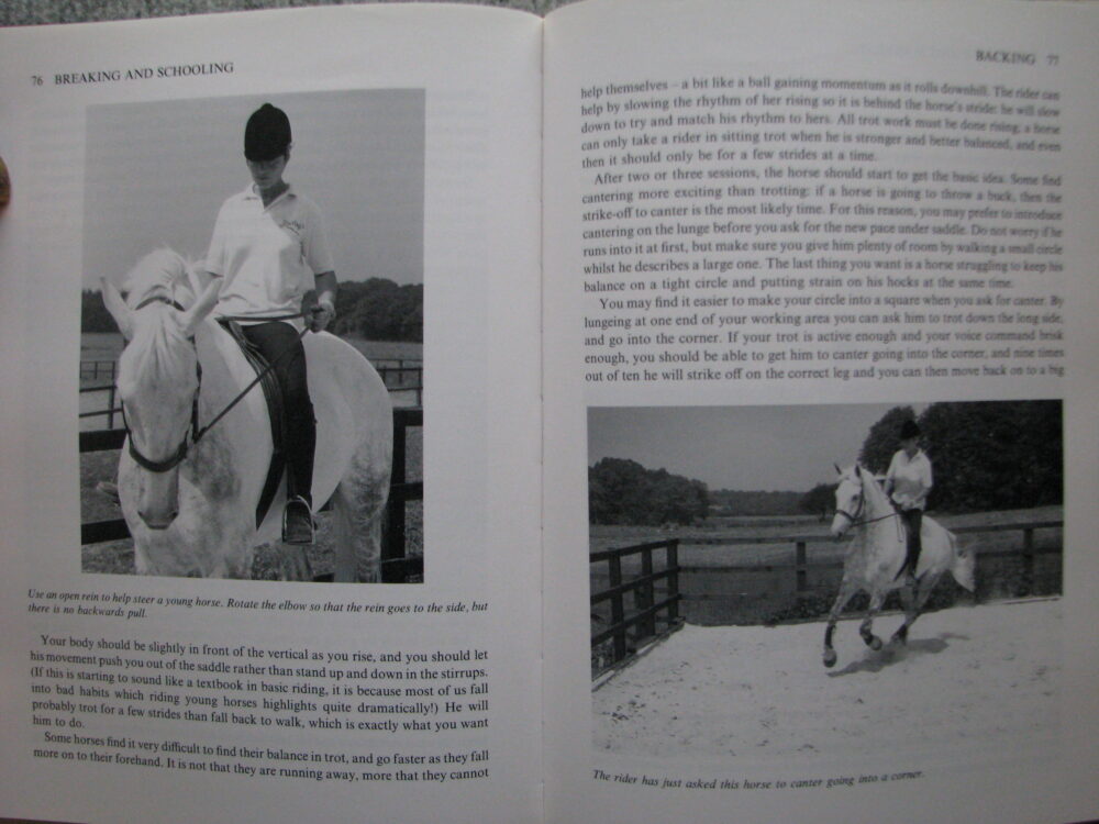 Breaking and Schooling, Carolyn Henderson and Lynn Russell - Image 8