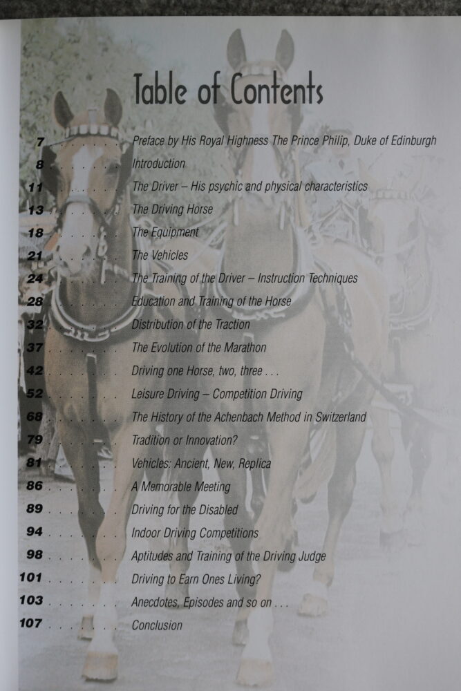 Carriage Driving In The Course Of Time, Auguste Dubey - Image 4