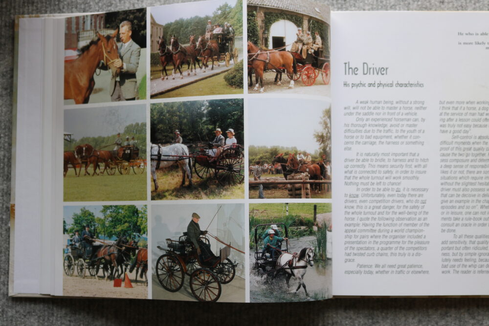 Carriage Driving In The Course Of Time, Auguste Dubey - Image 6
