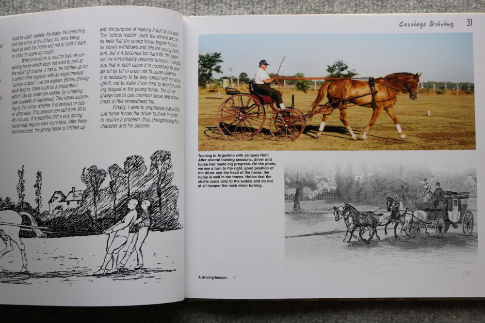 Carriage Driving In The Course Of Time, Auguste Dubey - Image 11