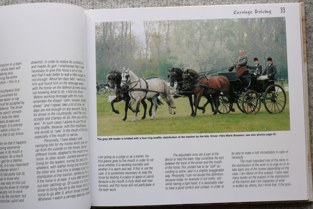 Carriage Driving In The Course Of Time, Auguste Dubey - Image 12