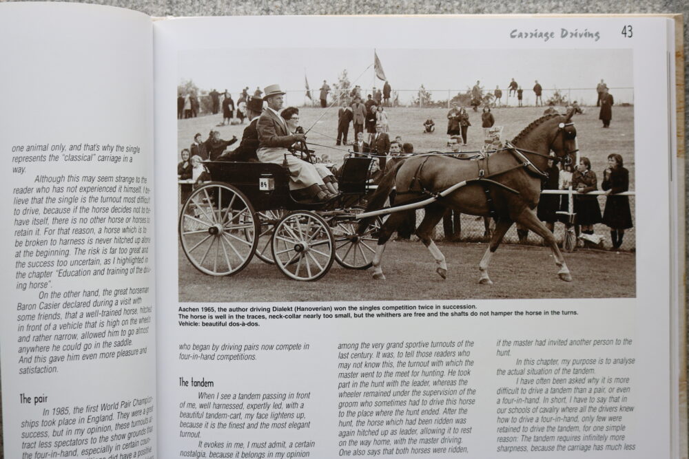 Carriage Driving In The Course Of Time, Auguste Dubey - Image 15