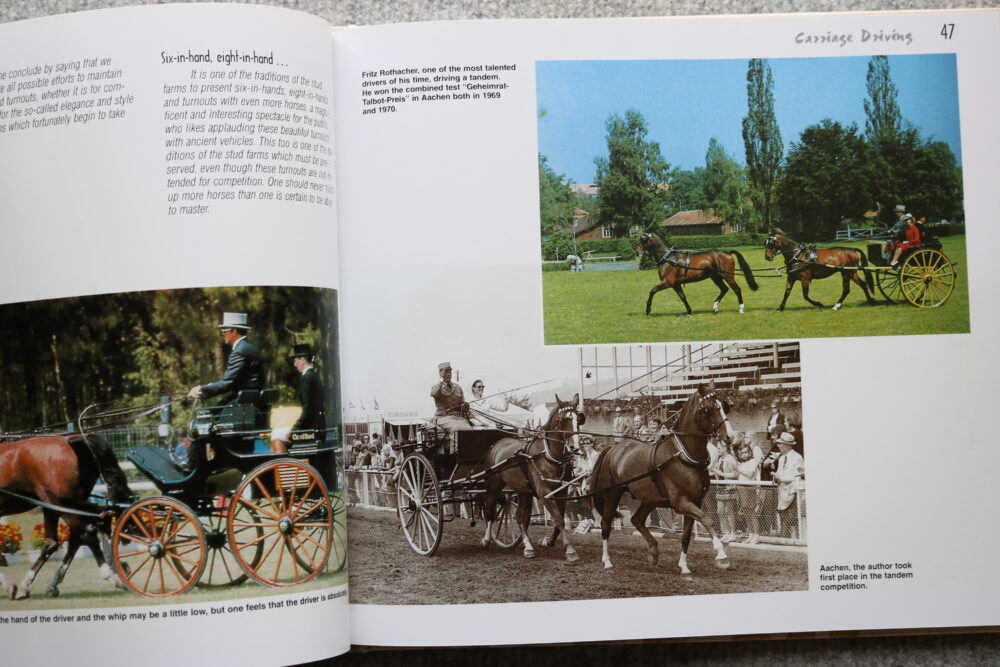 Carriage Driving In The Course Of Time, Auguste Dubey - Image 16