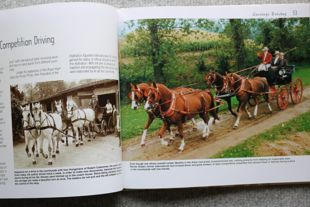 Carriage Driving In The Course Of Time, Auguste Dubey - Image 18