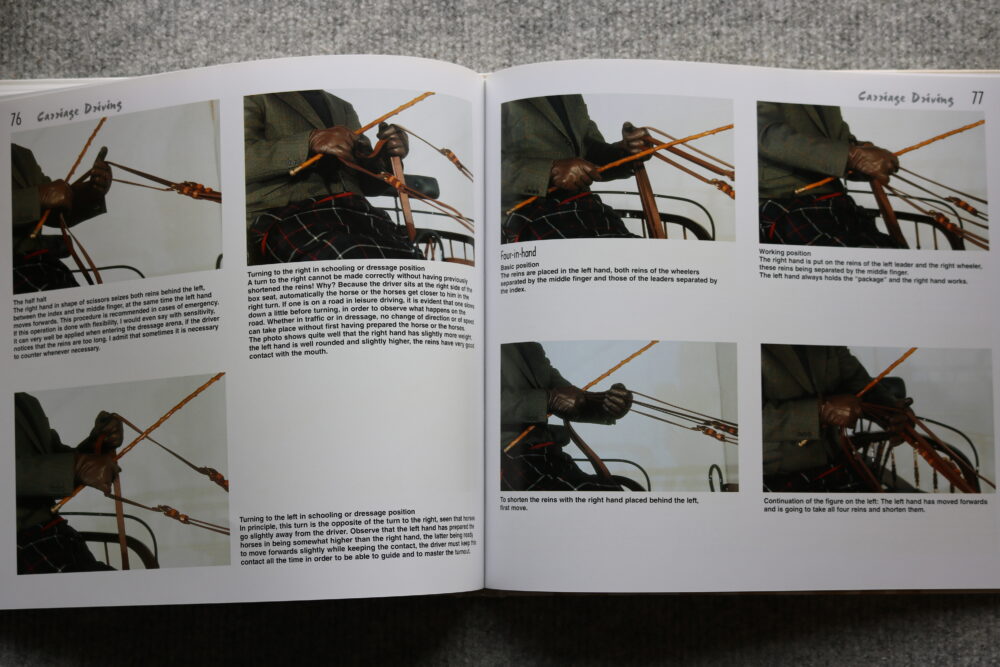 Carriage Driving In The Course Of Time, Auguste Dubey - Image 21