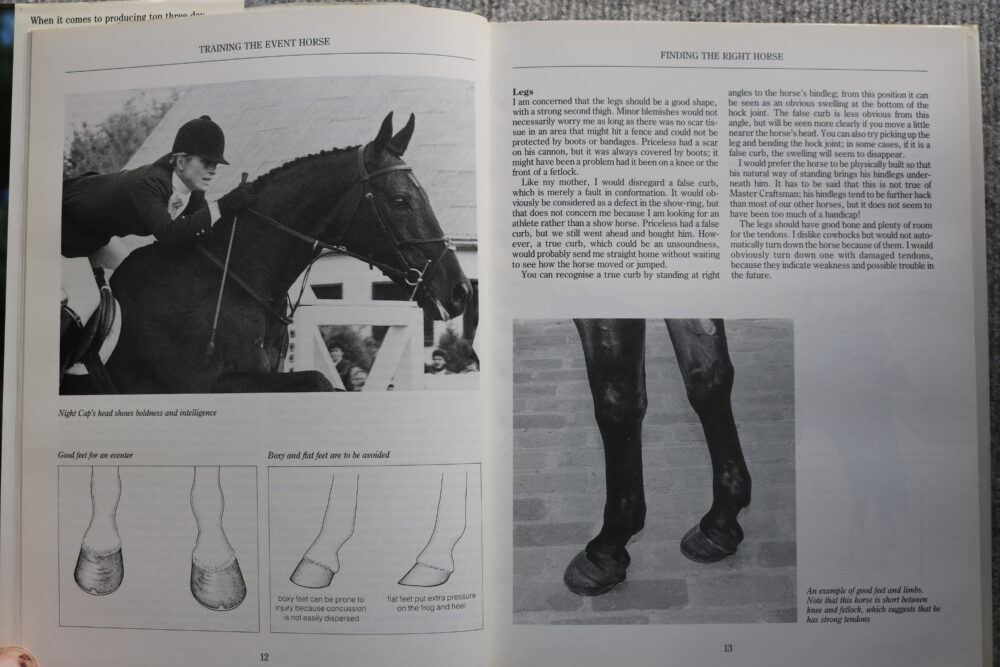 Training the Event Horse, Virginia Leng with Genevieve Murphy - Image 6