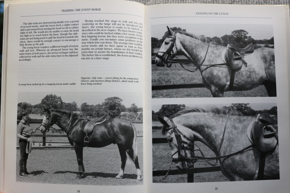 Training the Event Horse, Virginia Leng with Genevieve Murphy - Image 7