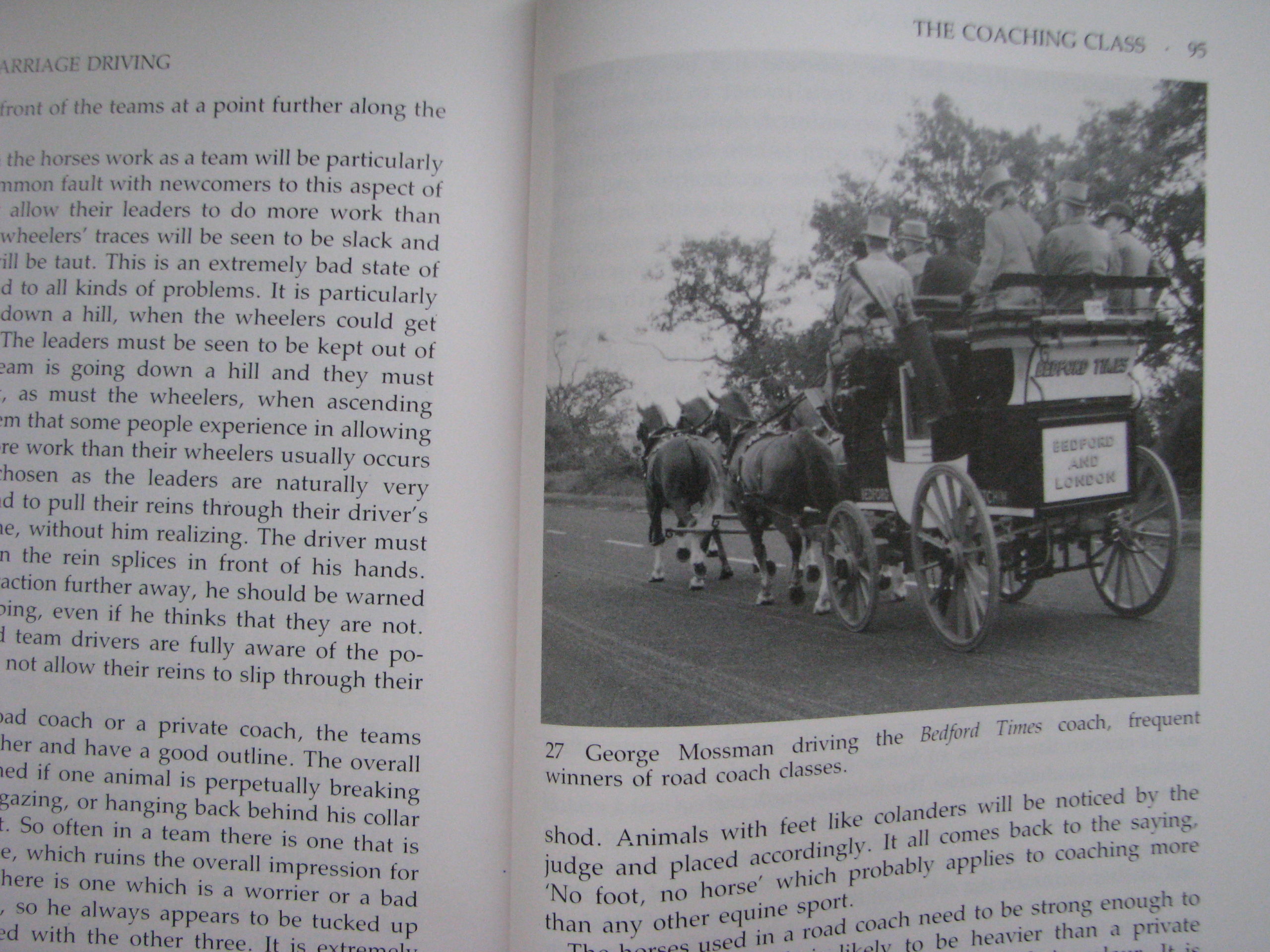 Judging Carriage Driving, Sallie Walrond - Image 5