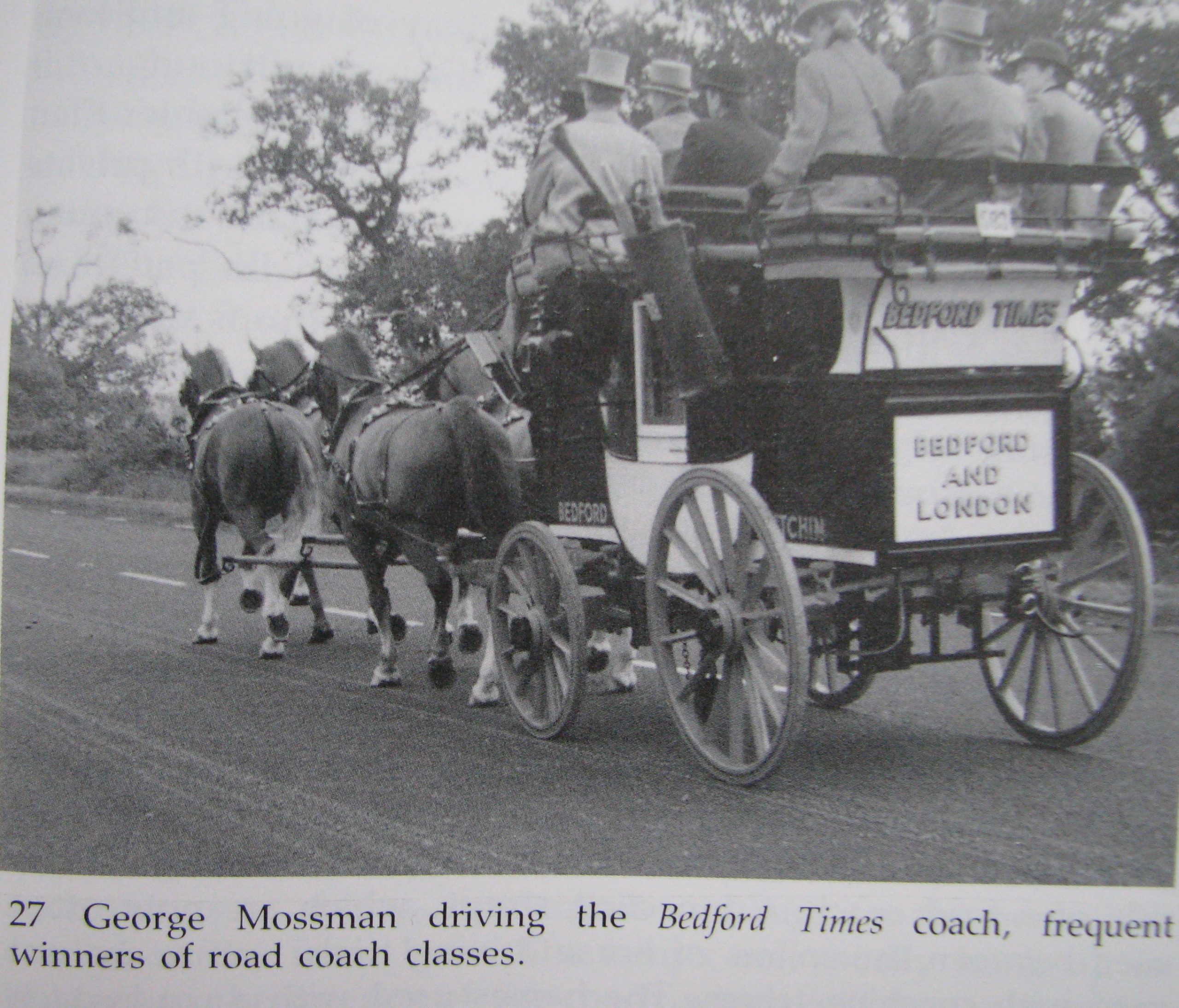 Judging Carriage Driving, Sallie Walrond - Image 6