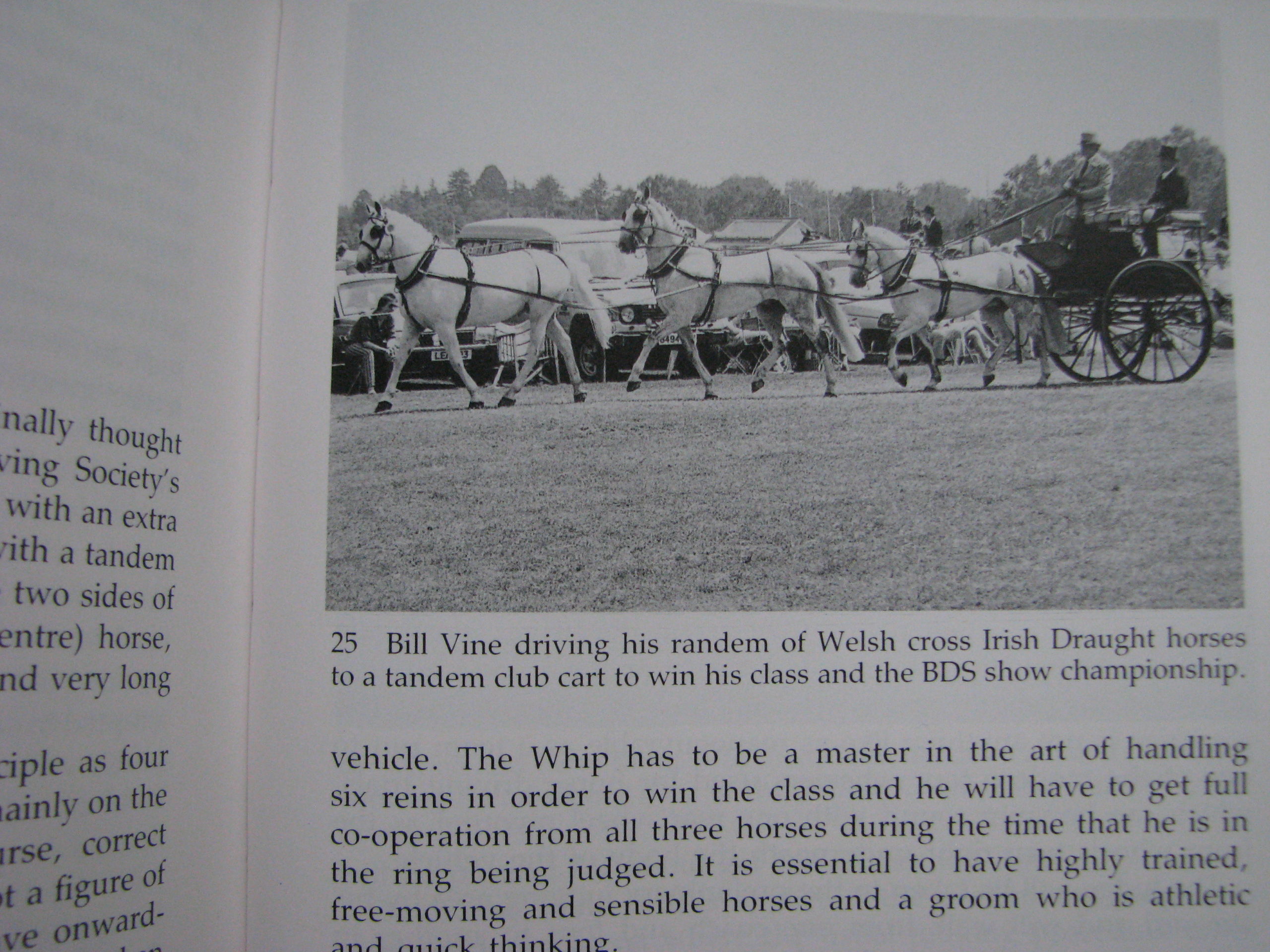 Judging Carriage Driving, Sallie Walrond - Image 7