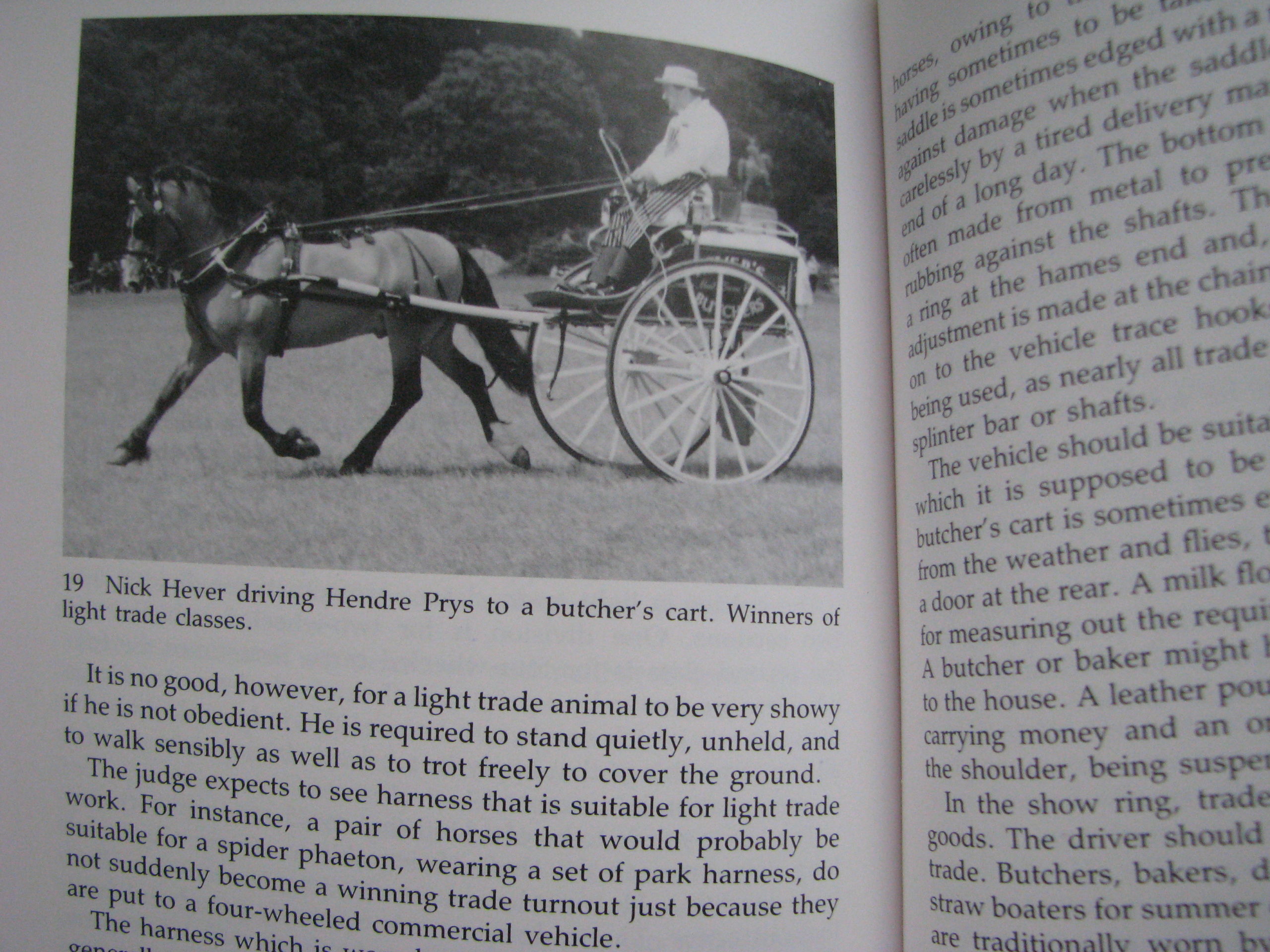 Judging Carriage Driving, Sallie Walrond - Image 9