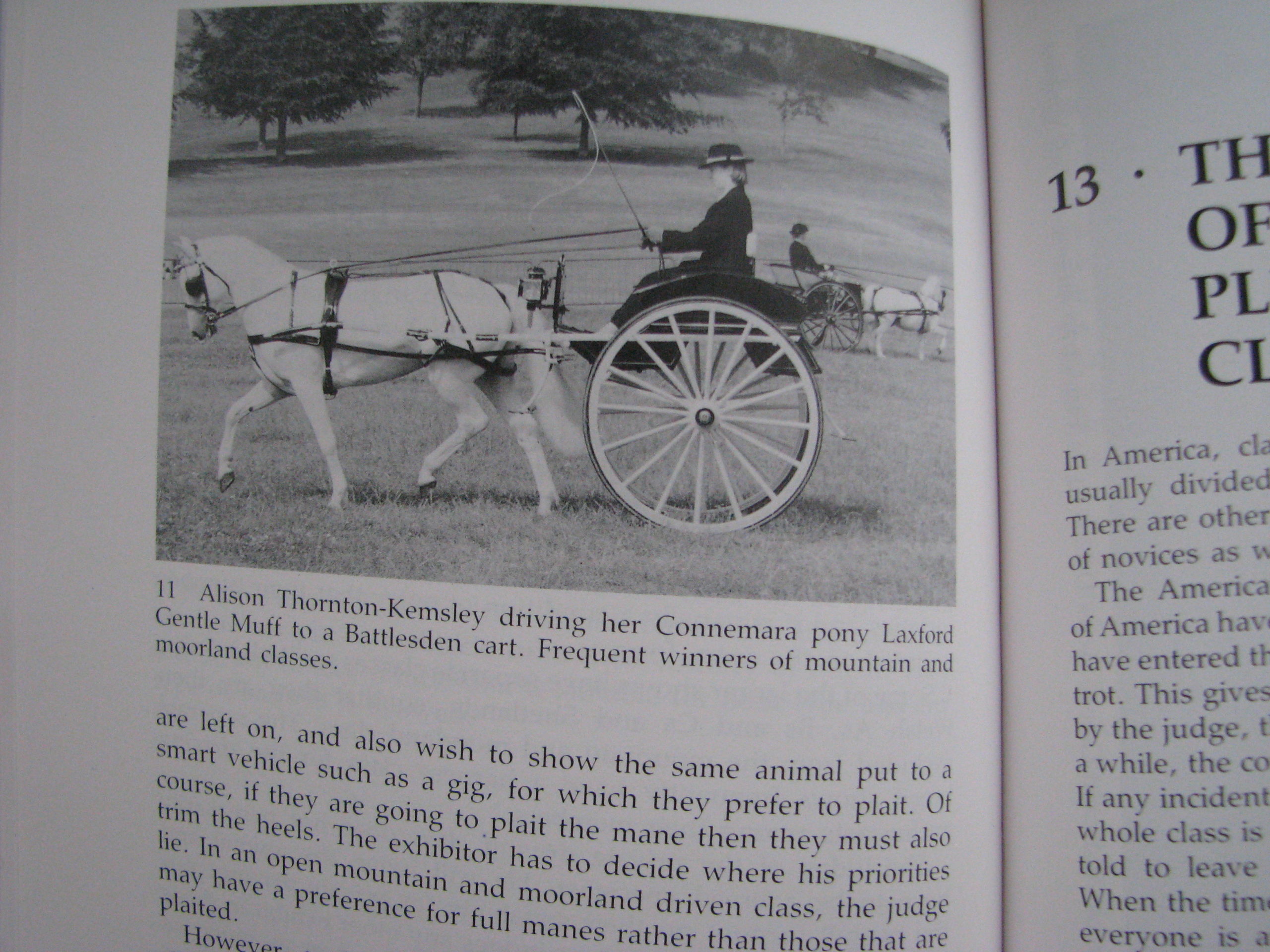 Judging Carriage Driving, Sallie Walrond - Image 10