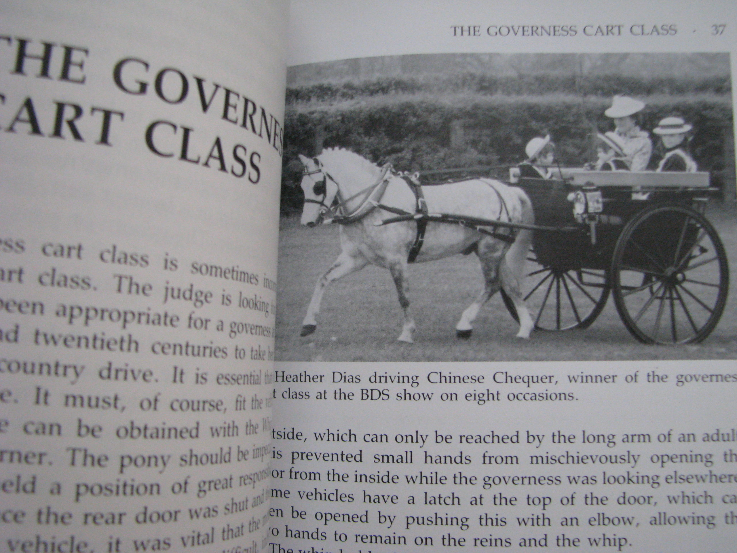 Judging Carriage Driving, Sallie Walrond - Image 11