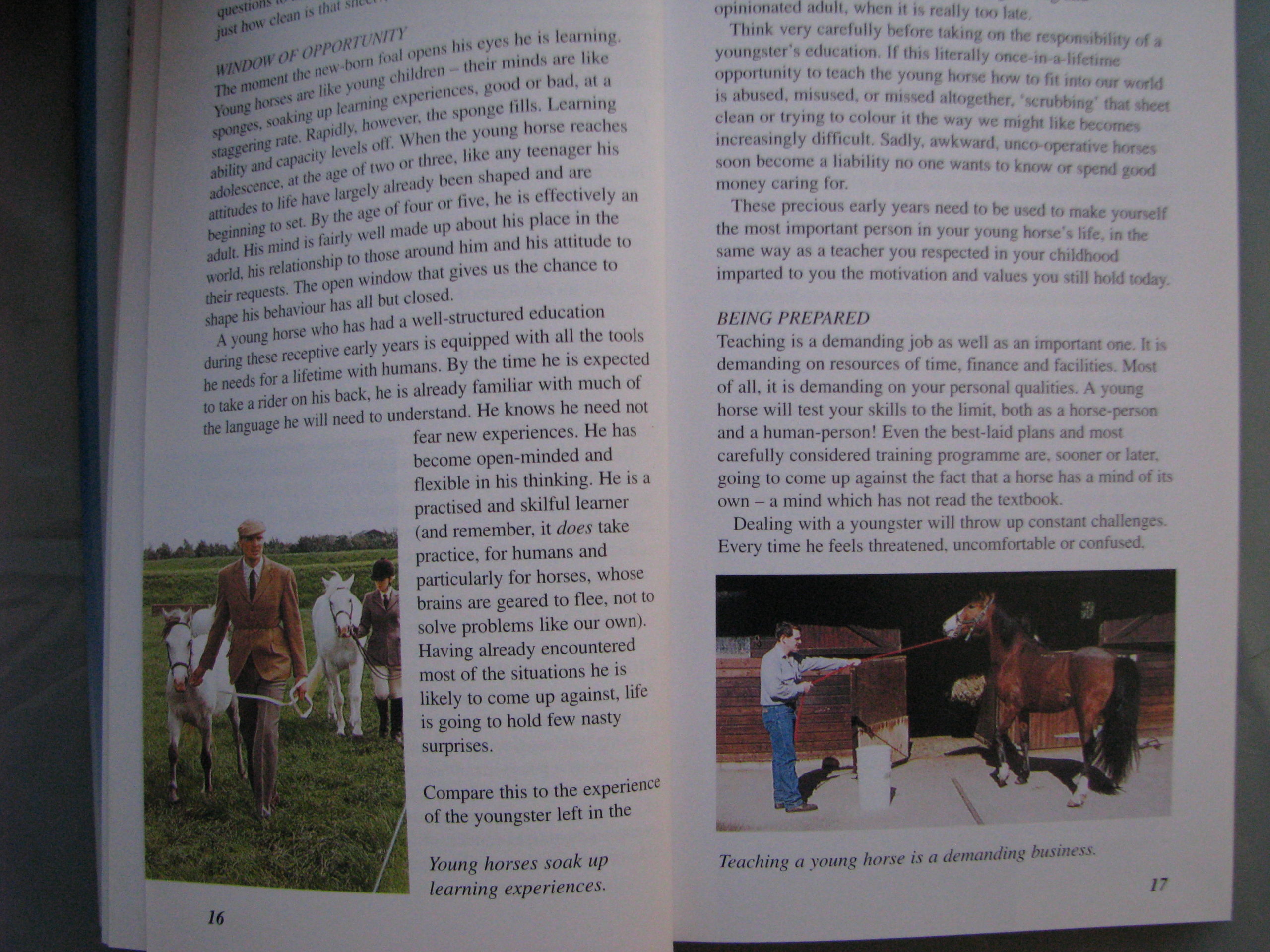 A-Z of Horse Behaviour and Training, Jackie Budd - Image 4