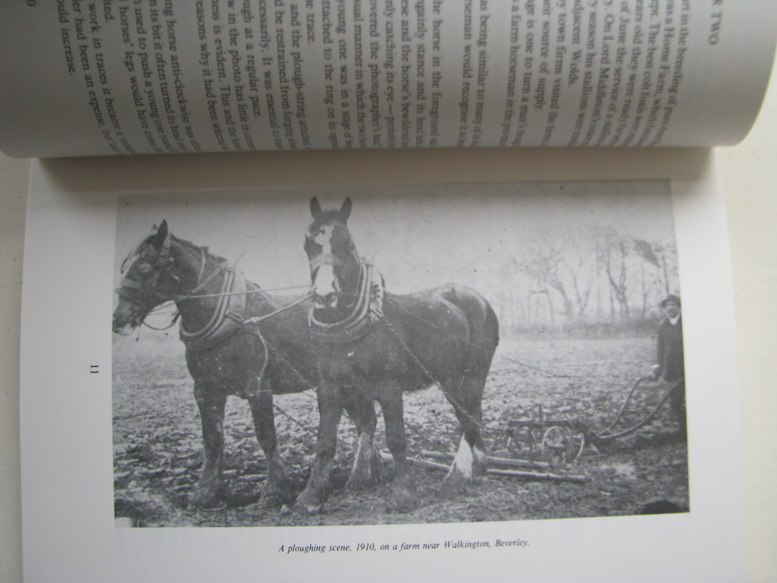Herbert L. Day. When Horses Were Supreme - Image 2