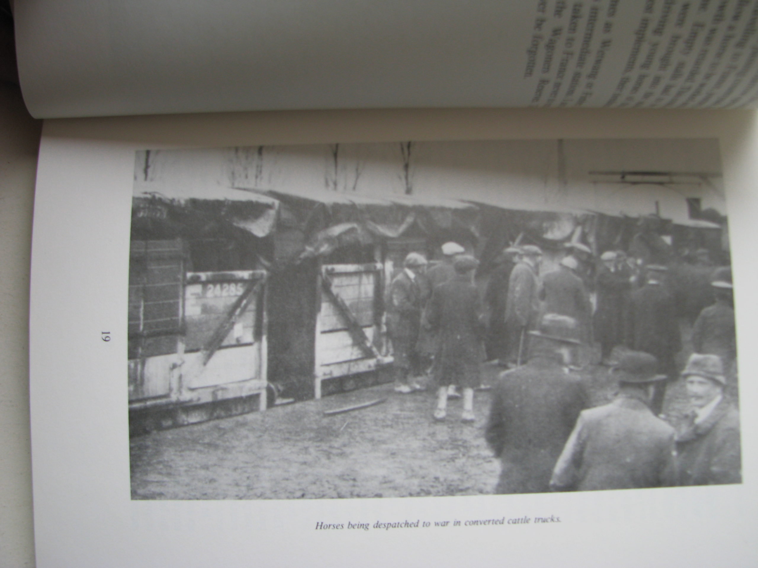 Herbert L. Day. When Horses Were Supreme - Image 3