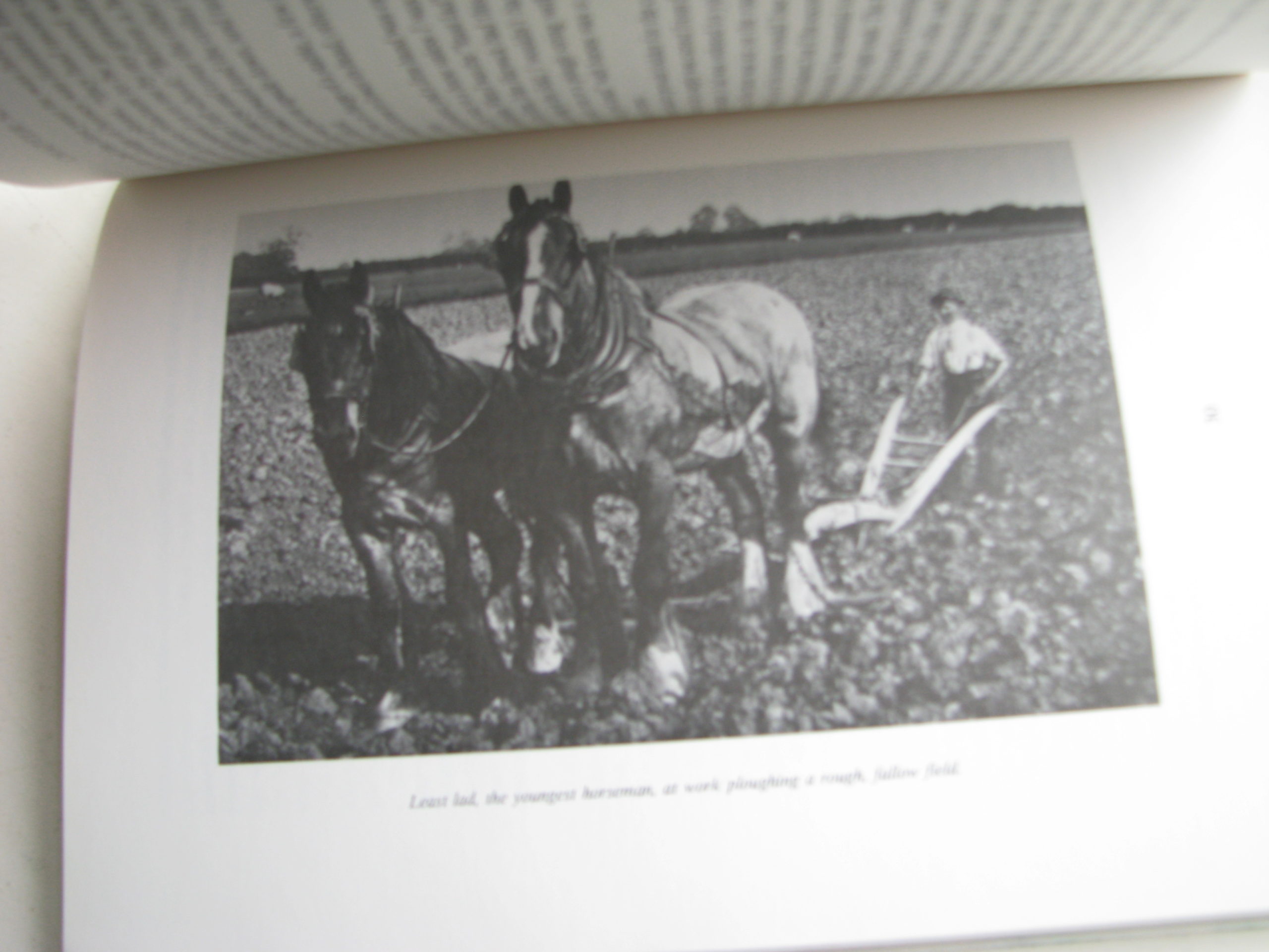 Herbert L. Day. When Horses Were Supreme - Image 4