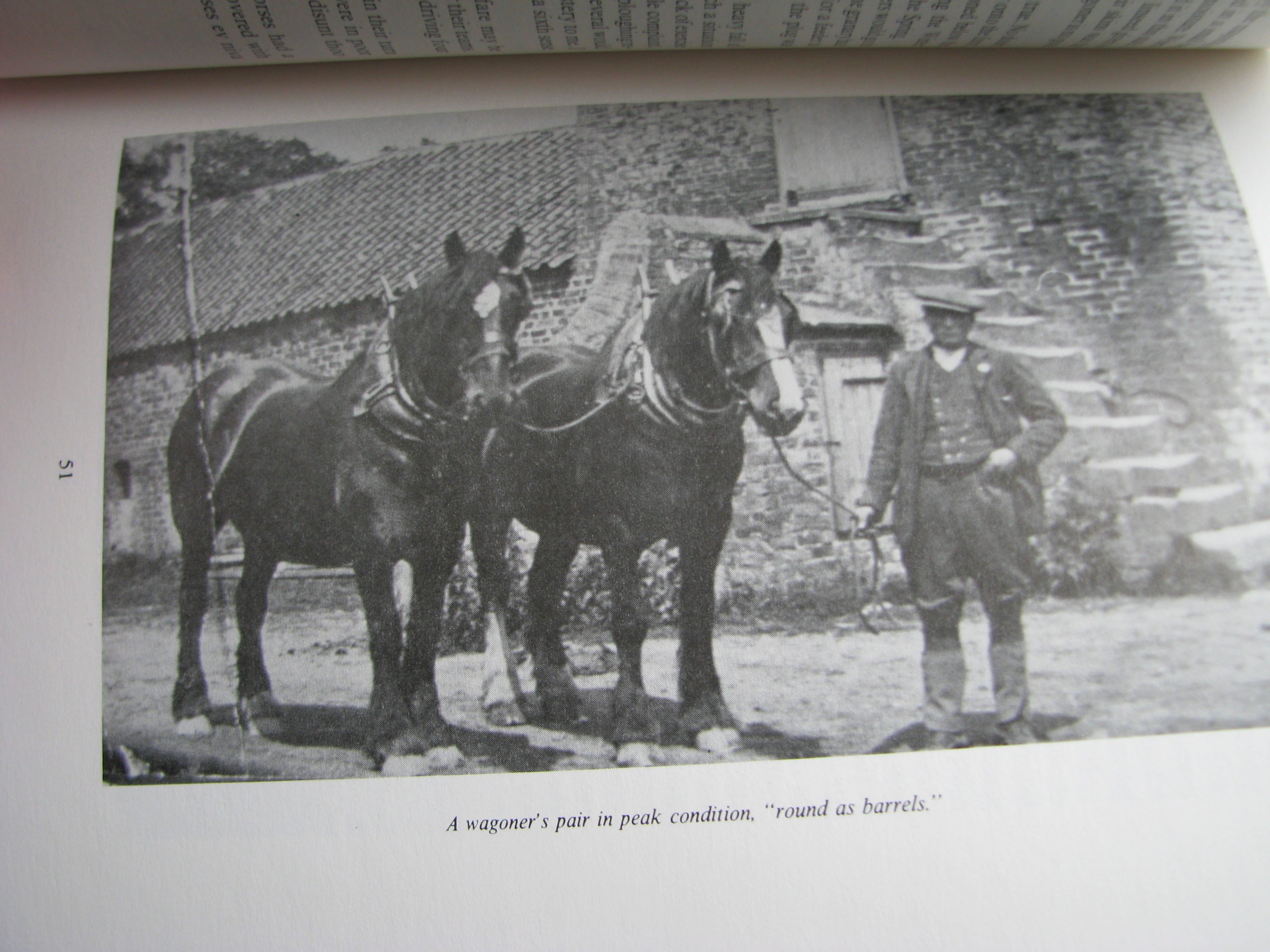 Herbert L. Day. When Horses Were Supreme - Image 5