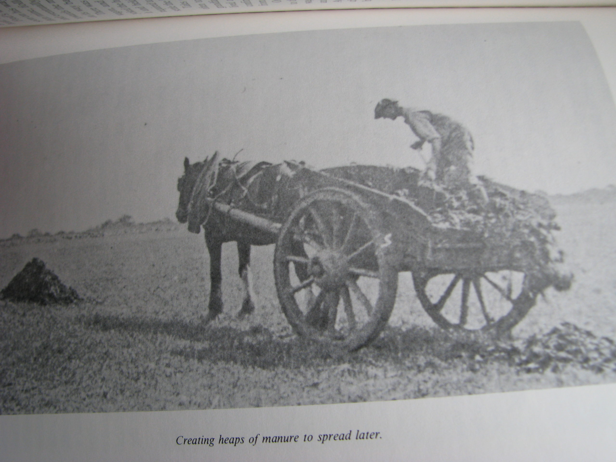 Herbert L. Day. When Horses Were Supreme - Image 6