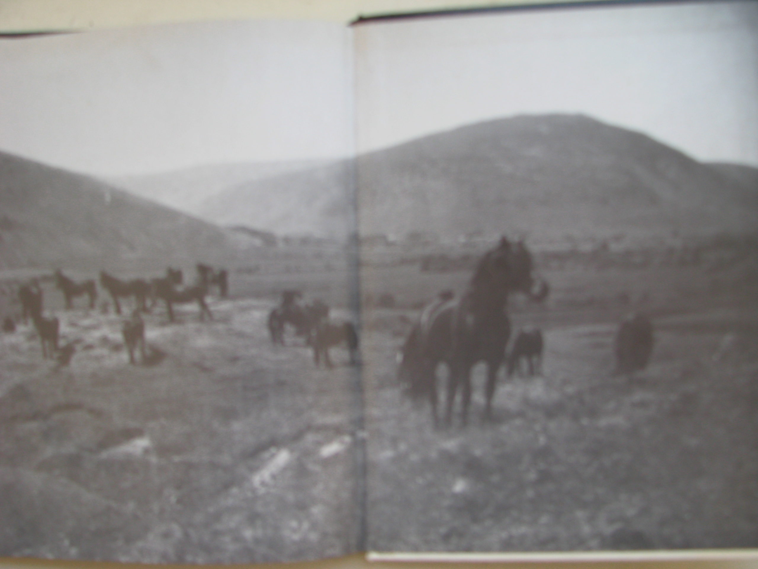 The Fell Pony Clive Richardson - Image 3