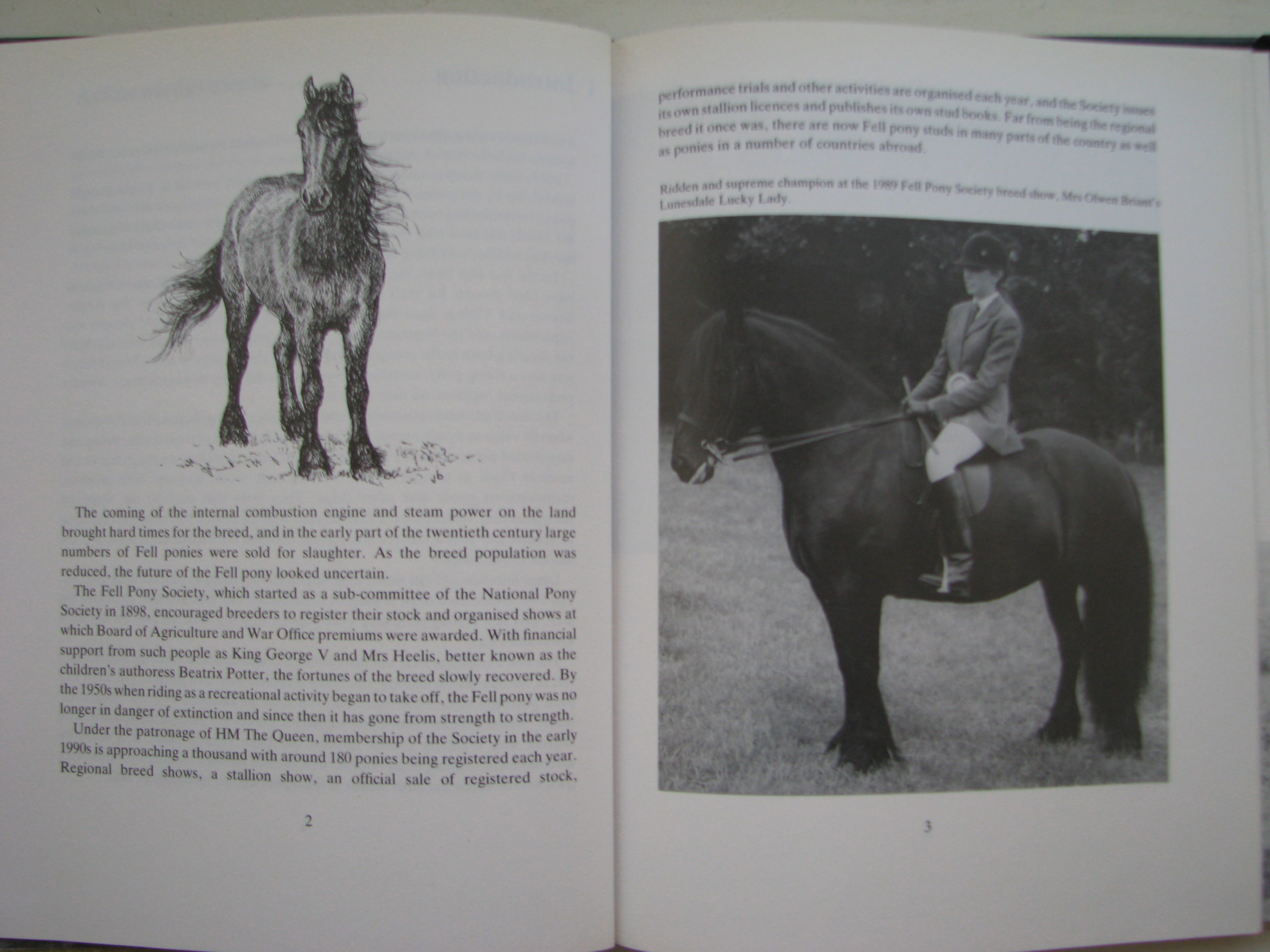 The Fell Pony Clive Richardson - Image 5