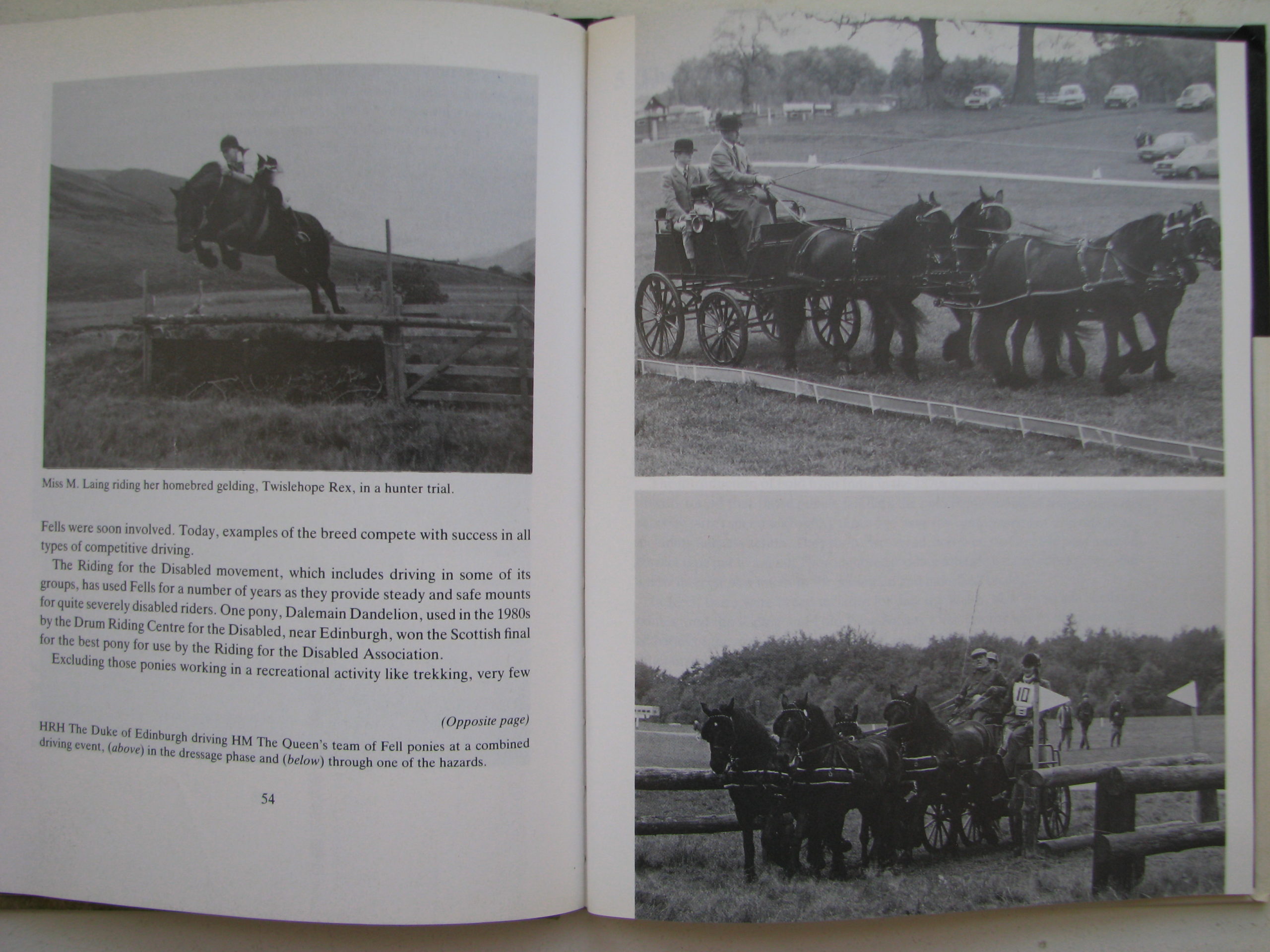 The Fell Pony Clive Richardson - Image 8