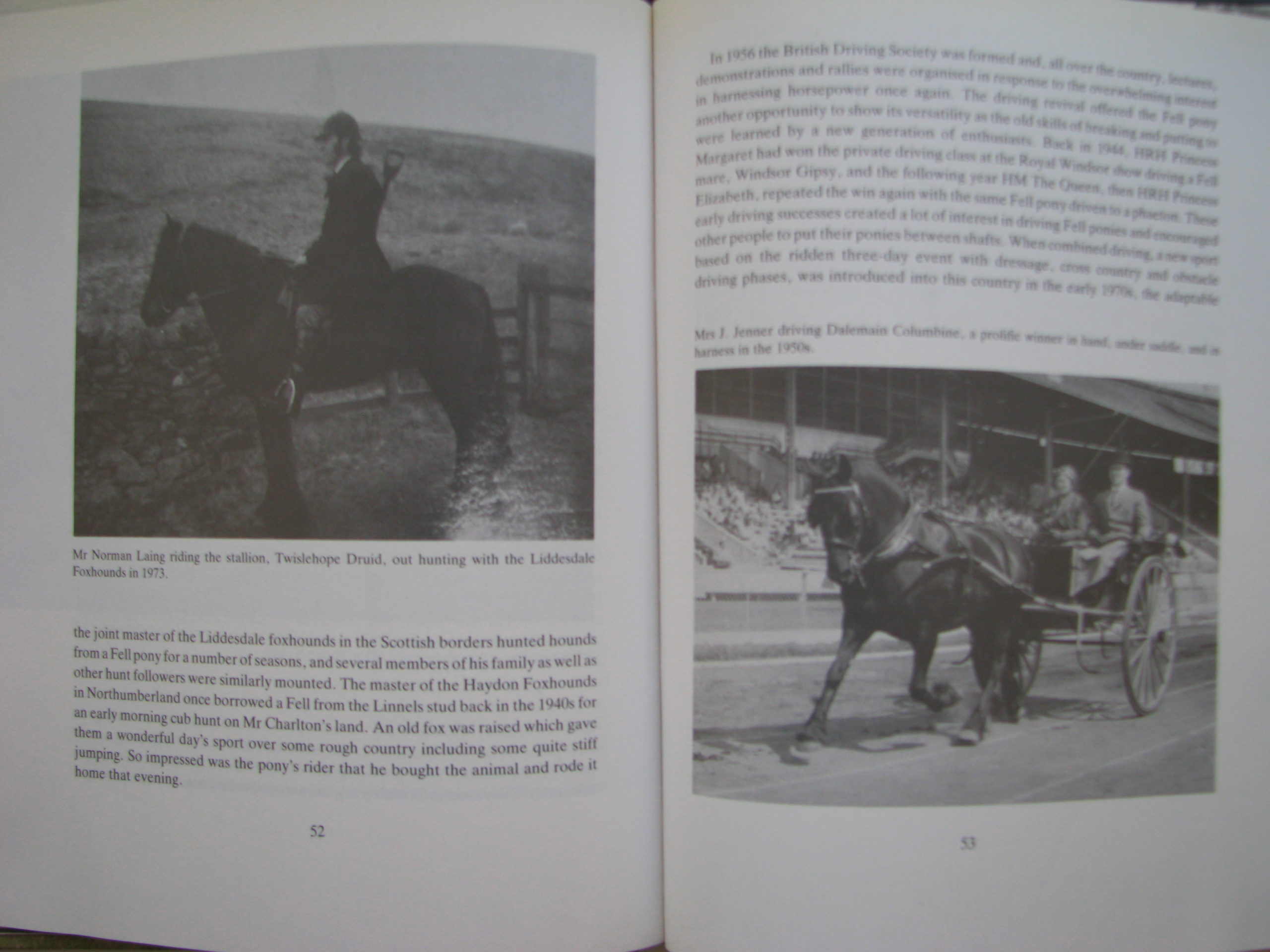 The Fell Pony Clive Richardson - Image 9