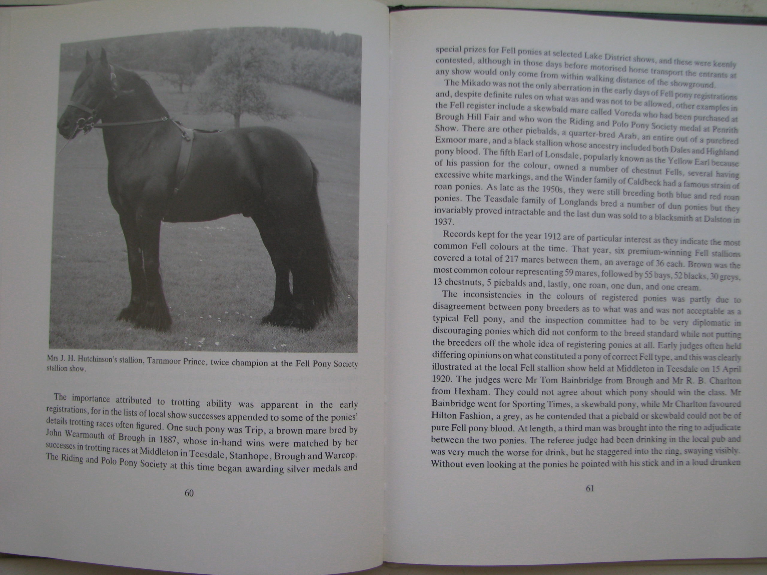 The Fell Pony Clive Richardson - Image 10