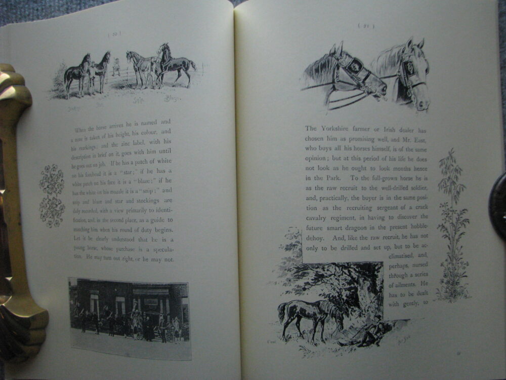 Our Carriage Horses, W J Gordon - Image 7