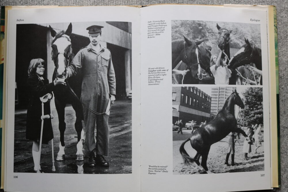 Sefton, The Story of A Cavalry Horse, J.N.P. Watson - Image 15