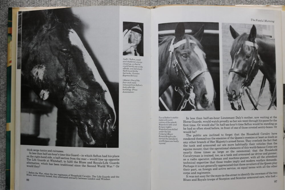 Sefton, The Story of A Cavalry Horse, J.N.P. Watson - Image 16