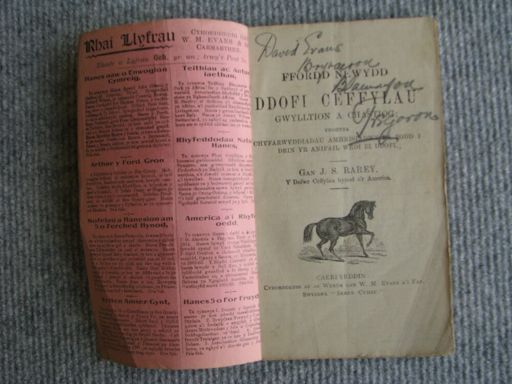 John Rarey Horse Tamer, Welsh Language special edition - Image 2