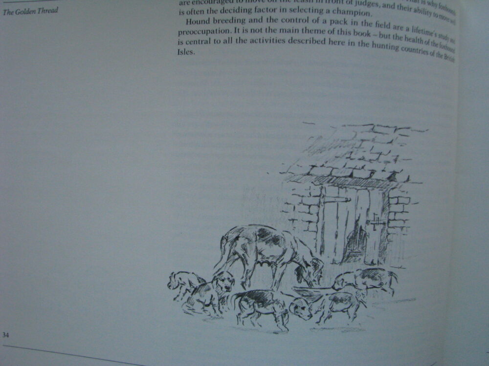 Michael Clayton,The Golden Thread, Foxhunting Today, - Image 9