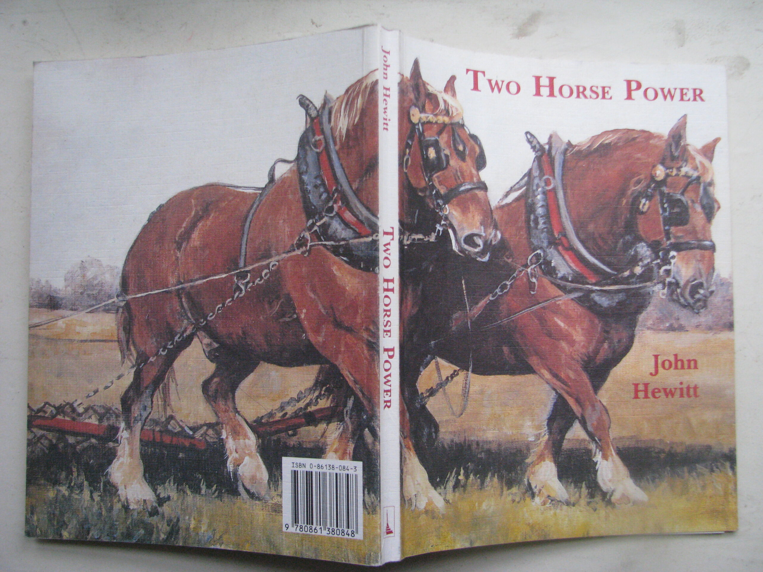 Two Horse Power, John Hewitt - Image 2