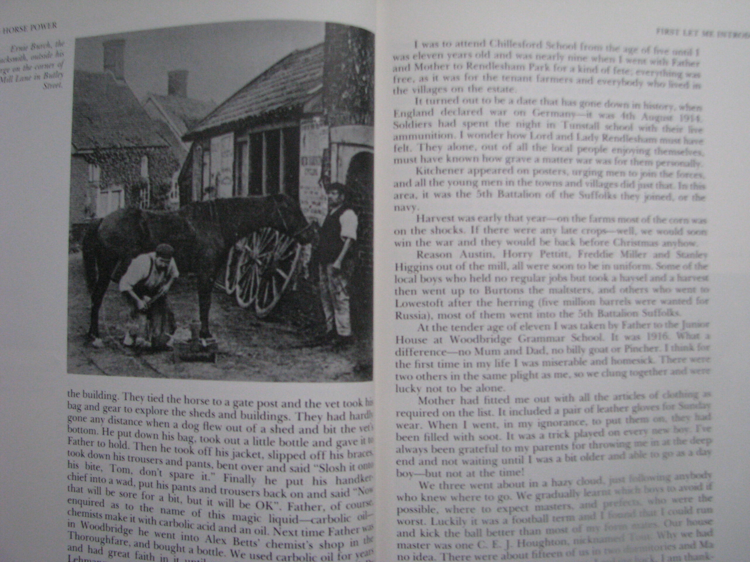 Two Horse Power, John Hewitt - Image 6