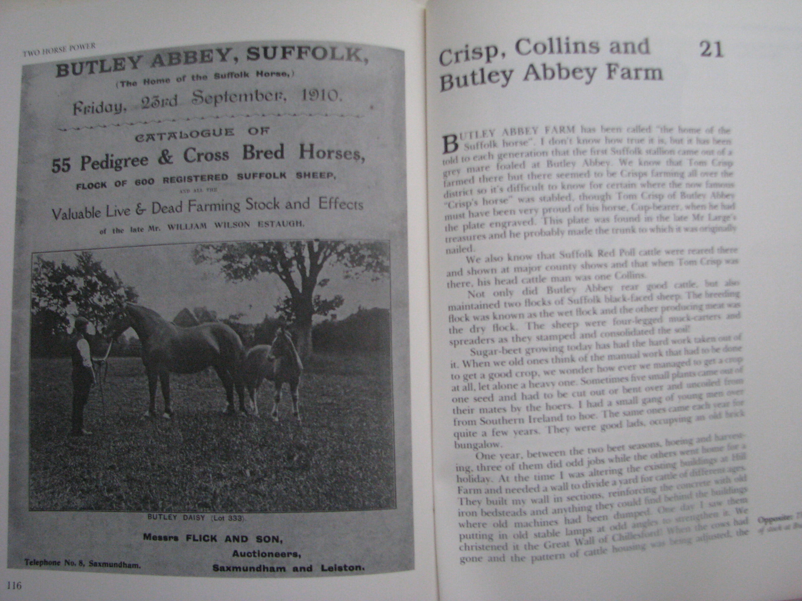 Two Horse Power, John Hewitt - Image 9