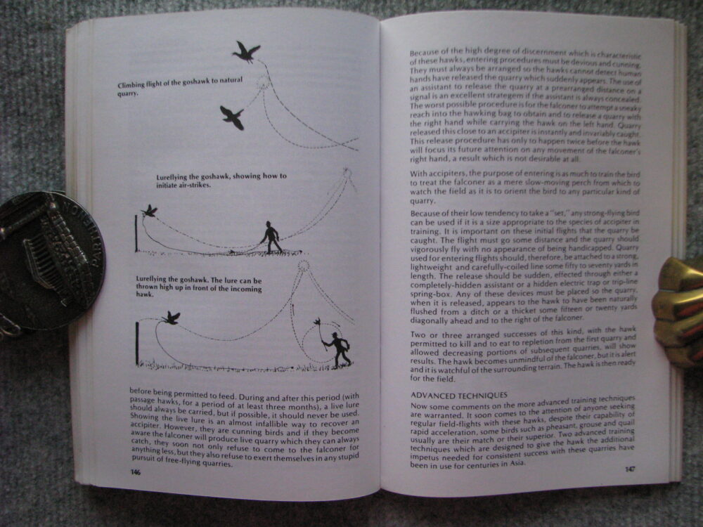 A Falconry Manual, Frank L. Beebe - Image 11
