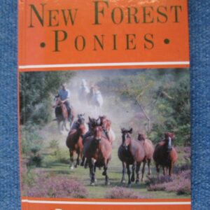 New Forest Ponies Dionis Macnair