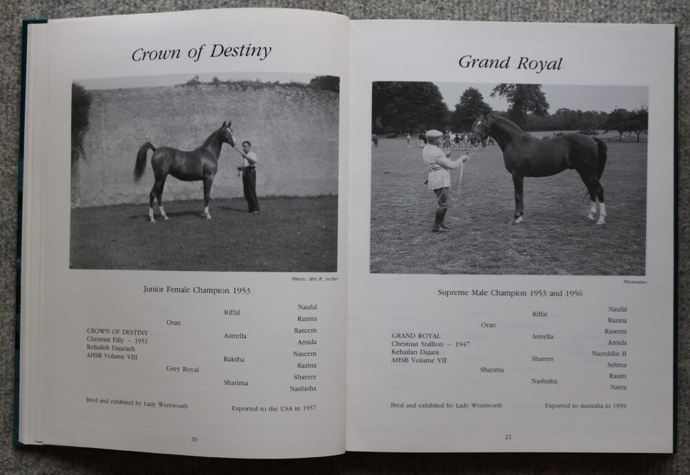 Arab Horse Champions 1953-1992 Deirdre Hyde - Image 7