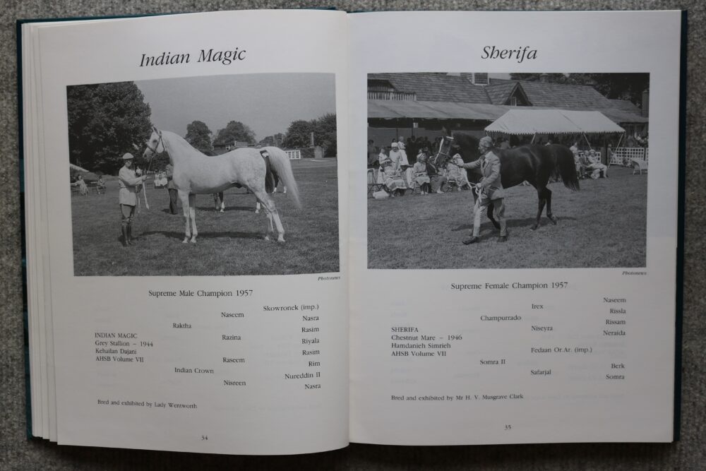 Arab Horse Champions 1953-1992 Deirdre Hyde - Image 9